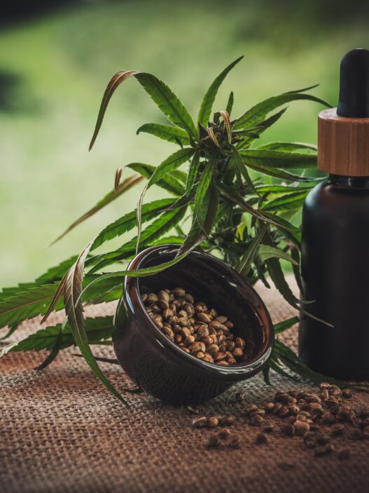 In a world where health and wellbeing are more important than ever, finding products you can truly trust makes all the difference. Naturecan stands at the intersection of science, quality, and natural wellness offering a premium range of CBD and nutritional supplements designed to support your body and mind every day.