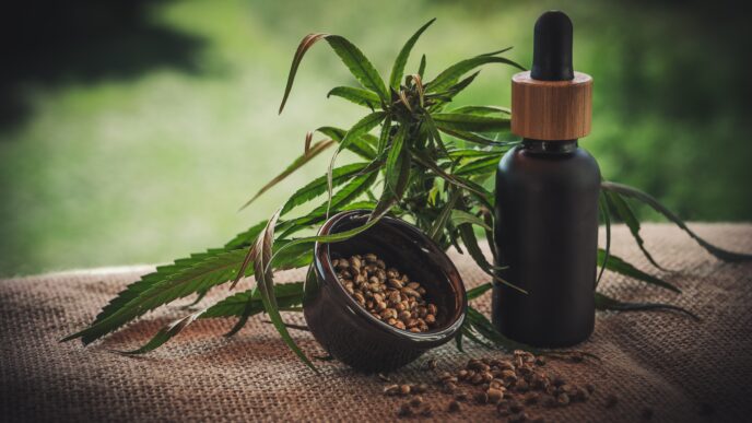In a world where health and wellbeing are more important than ever, finding products you can truly trust makes all the difference. Naturecan stands at the intersection of science, quality, and natural wellness offering a premium range of CBD and nutritional supplements designed to support your body and mind every day.