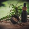 In a world where health and wellbeing are more important than ever, finding products you can truly trust makes all the difference. Naturecan stands at the intersection of science, quality, and natural wellness offering a premium range of CBD and nutritional supplements designed to support your body and mind every day.