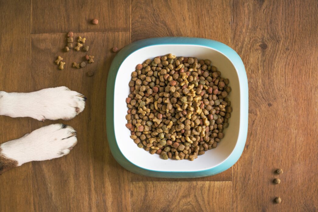 For pet parents, nothing matters more than the health, comfort, and happiness of their furry companions. From daily nutrition to preventive care, every choice plays a role in ensuring pets live long, joyful lives. That’s where PetCareClub steps in offering a complete, reliable, and affordable solution for all your pet care needs in one place.