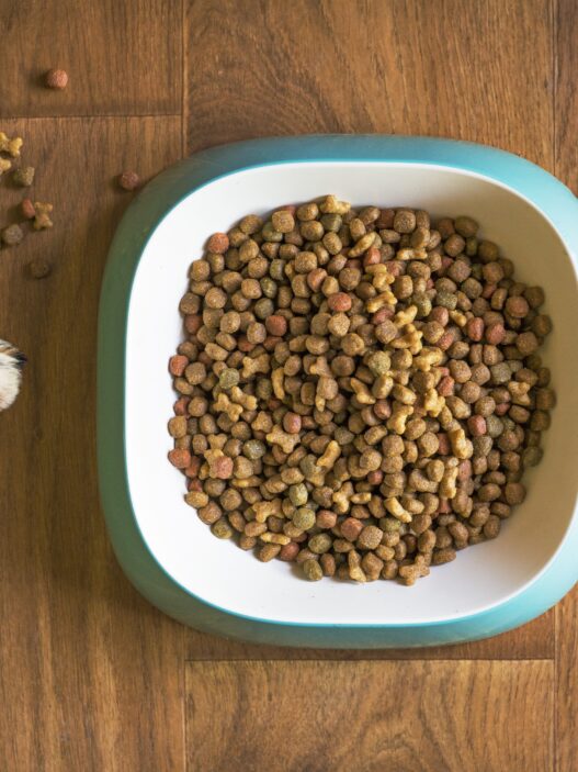 For pet parents, nothing matters more than the health, comfort, and happiness of their furry companions. From daily nutrition to preventive care, every choice plays a role in ensuring pets live long, joyful lives. That’s where PetCareClub steps in offering a complete, reliable, and affordable solution for all your pet care needs in one place.