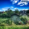 As homeowners increasingly look to make better use of their outdoor space, the demand for high-quality garden buildings has grown significantly. Buy Sheds Direct has emerged as a leading online retailer in the UK, offering a wide range of sheds, log cabins, and outdoor structures designed to enhance both functionality and style in any garden.