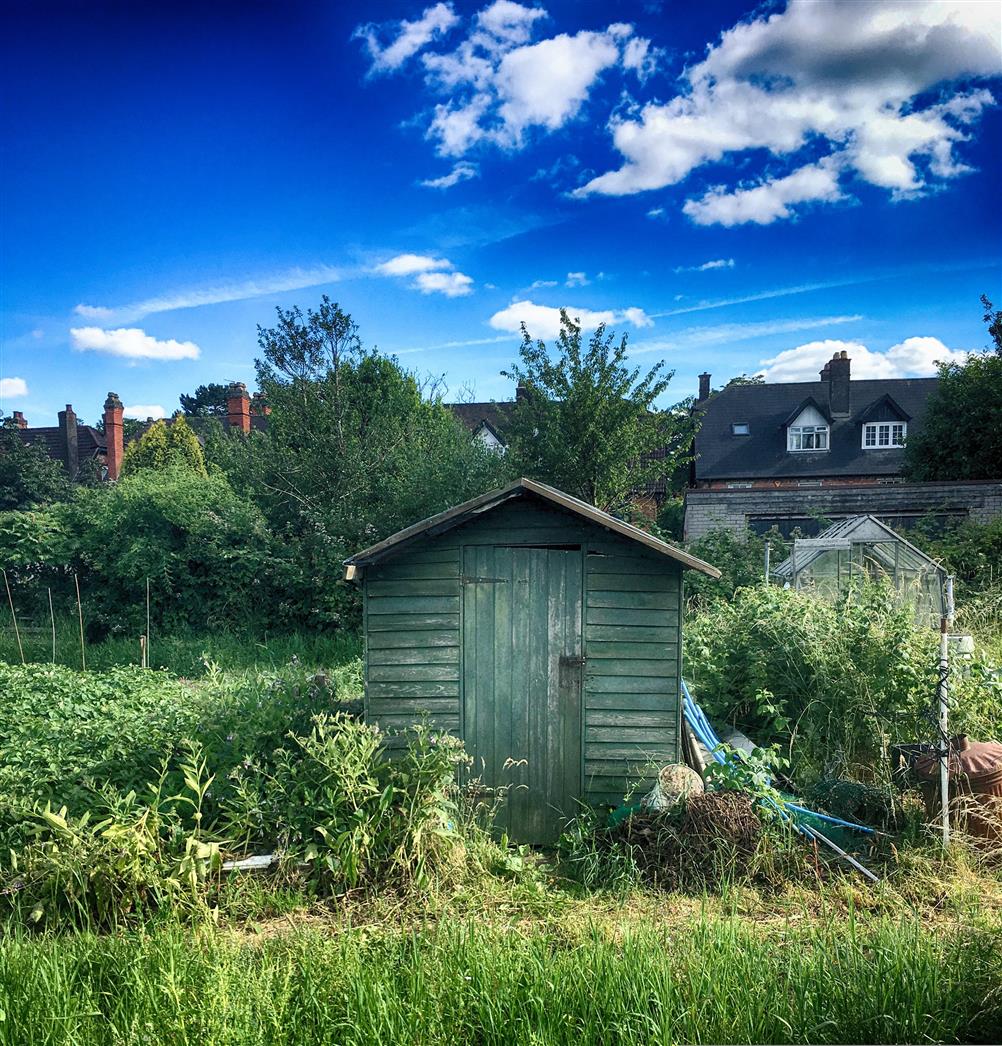 As homeowners increasingly look to make better use of their outdoor space, the demand for high-quality garden buildings has grown significantly. Buy Sheds Direct has emerged as a leading online retailer in the UK, offering a wide range of sheds, log cabins, and outdoor structures designed to enhance both functionality and style in any garden.